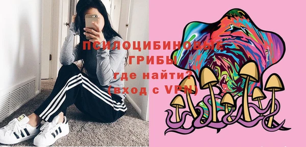 экстази Каменка