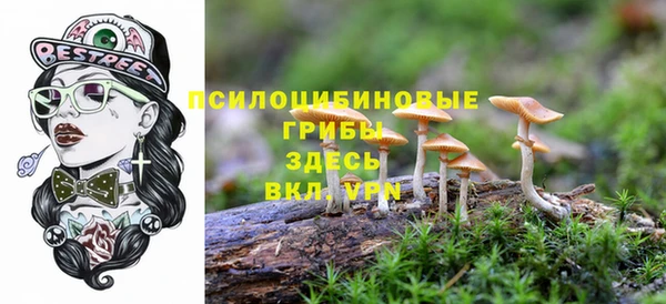 прущие крисы Костерёво