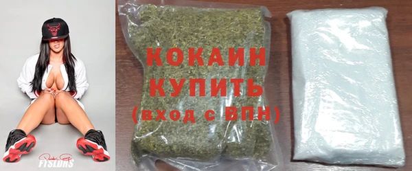 соль ск Каменногорск